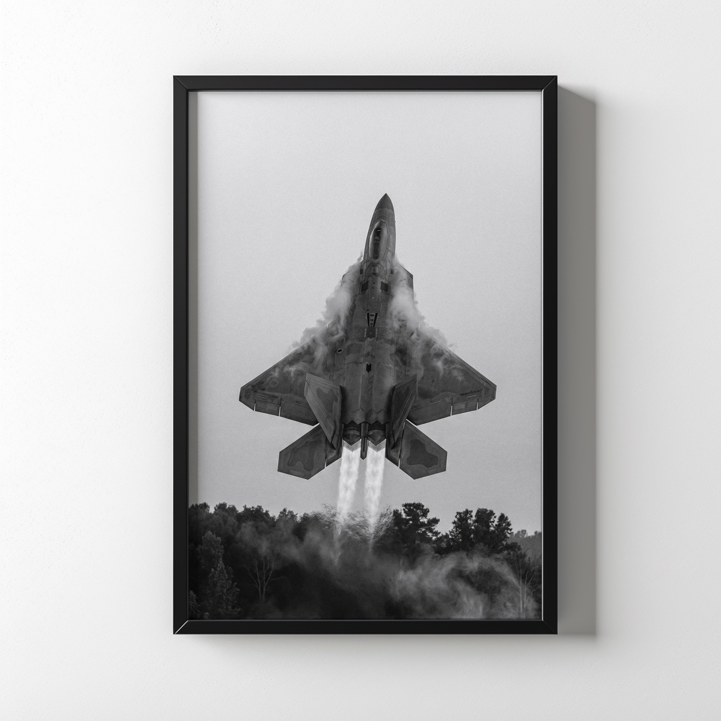 Raptor Rising NufsArt