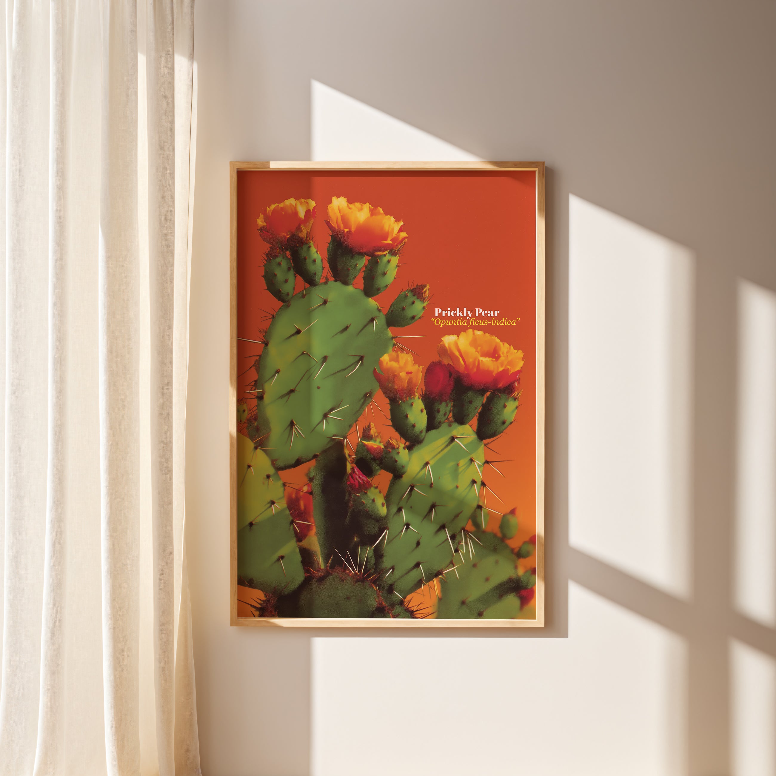 Sol de Nopal NufsArt