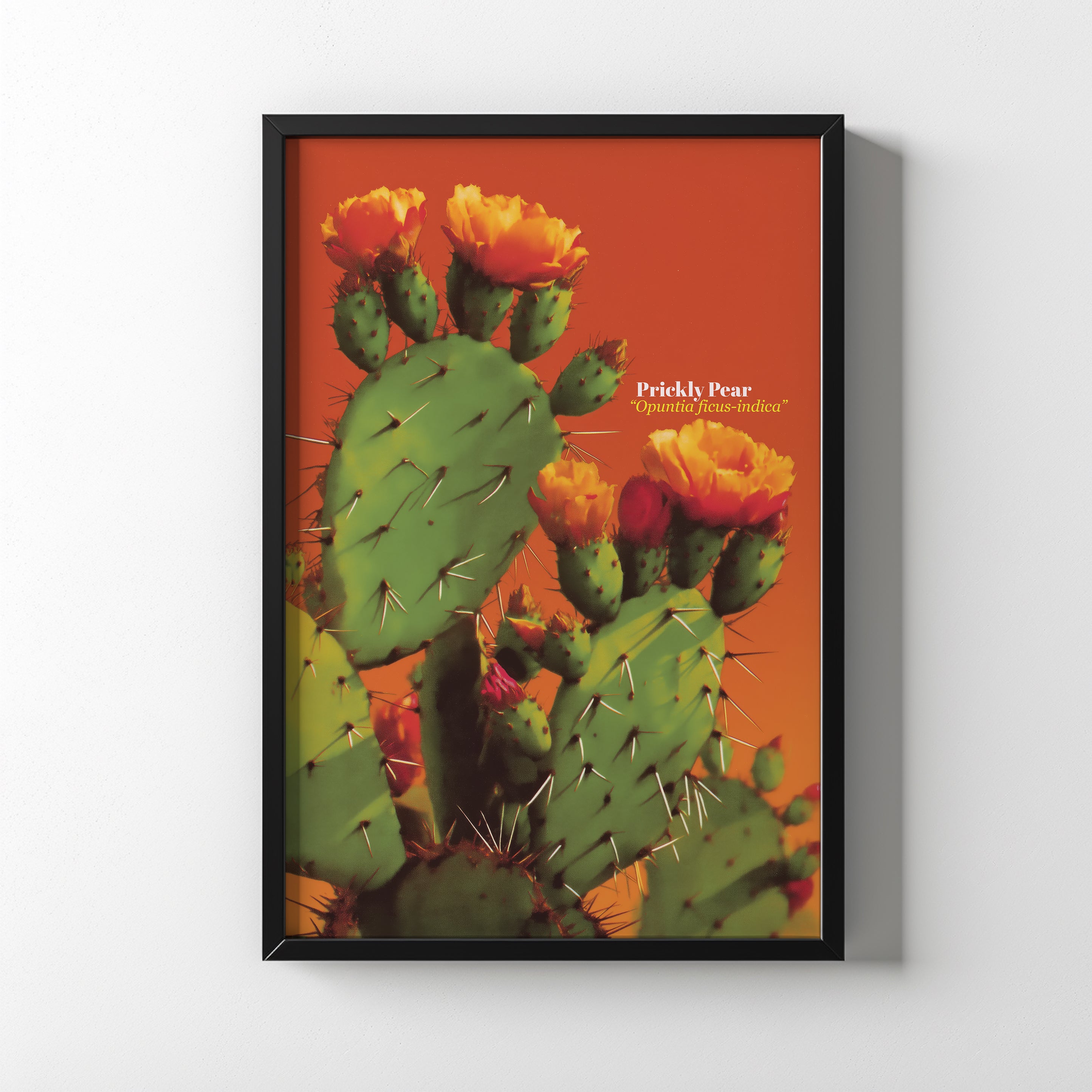 Sol de Nopal NufsArt